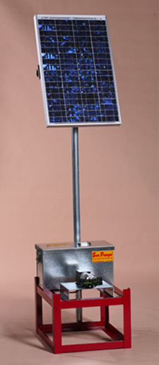 PHOTO - Sun Pumper #113