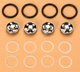 "B" SS Check Valves, O-rings, and White Washers